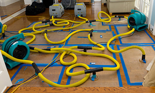Professional Basement Flood Cleanup technician working in Jeffersonville, IN